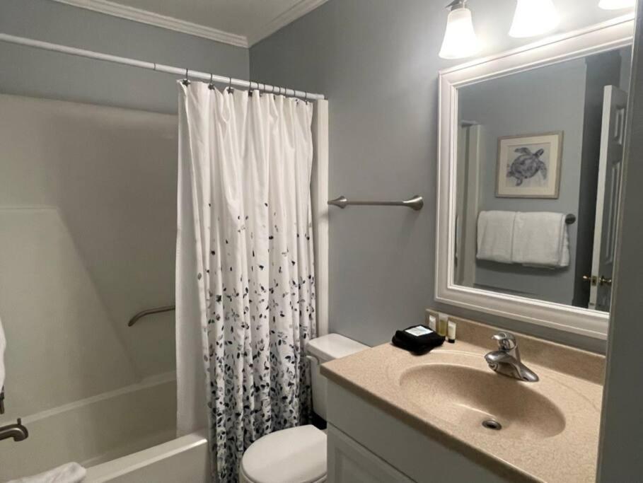 Feelin Tip'Sea-Oceanview Retreat Steps To Beach Hilton Head Island Εξωτερικό φωτογραφία